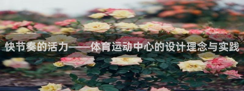 意昂5Kgame体育平台登录入口：快节奏的活力——体育运动中心的设计理念与实践