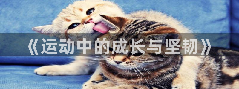 意昂5Kgame体育凯捷平台注册：《运动中的成长与坚韧》