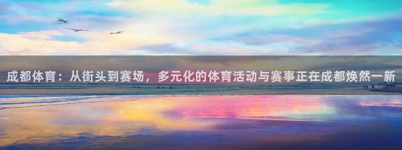 成都意昂5Kgame电子有限公司：成都体育：从街头到赛场，多元化的体育活动与赛事