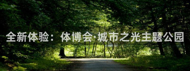 福建意昂5Kgame机电股份公司：全新体验：体博会·城市之光主题公园