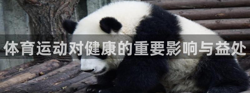 意昂5kgame官网入口：体育运动对健康的重要影响与益处