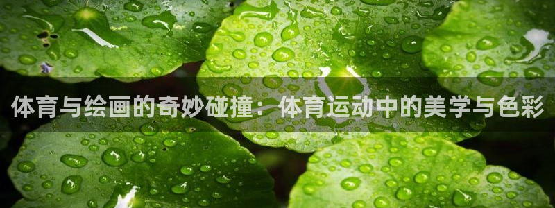意昂5Kgame体育：体育与绘画的奇妙碰撞：体育运动中的美学与色彩