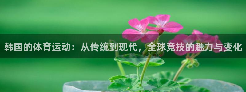 意昂5Kgame体育和杏耀是哪个公司的：韩国的体育运动：从传统到现代，全球竞技的