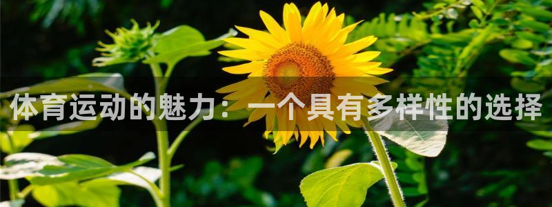 意昂5Kgame体育f开号：体育运动的魅力：一个具有多样性的选择