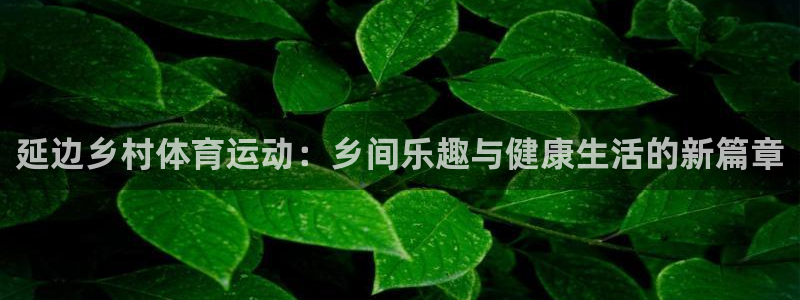 意昂5Kgame集团：延边乡村体育运动：乡间乐趣与健康生活的新篇章