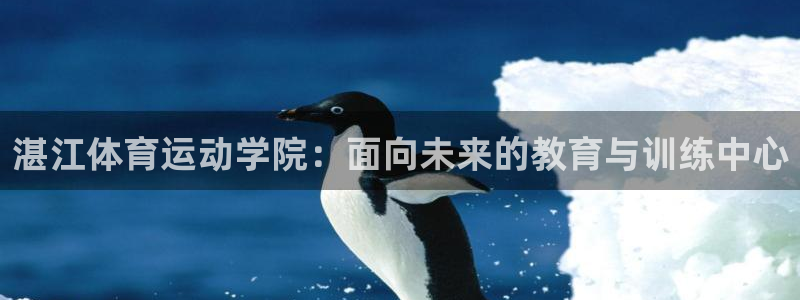 意昂5Kgame体育平台总代理：湛江体育运动学院：面向未来的教育与训练中心