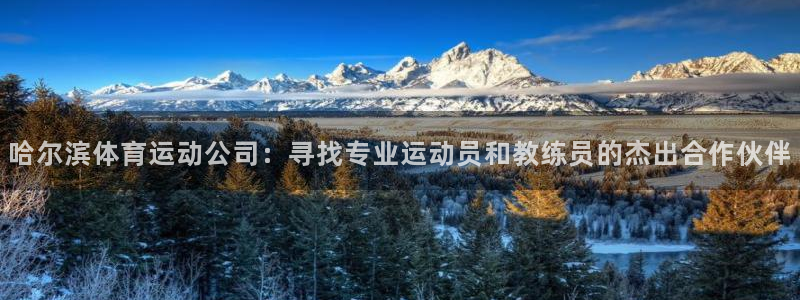 意昂5Kgame2体育登录入口：哈尔滨体育运动公司：寻找专业运动员和教练员的杰出