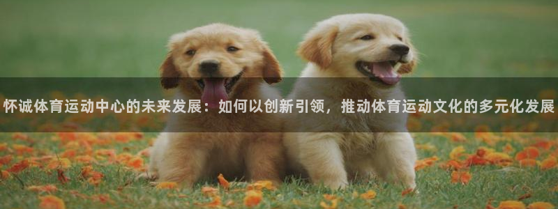 意昂5Kgame集团股票s：怀诚体育运动中心的未来发展：如何以创新引领，推动体育运动文化的多元化发展