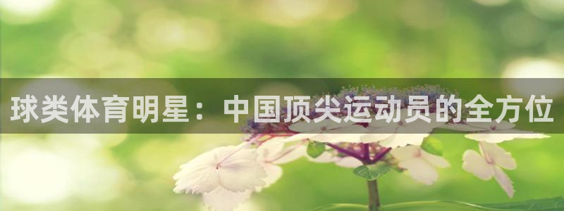 意昂5Kgame体育论坛：球类体育明星：中国顶尖运动员的全方位